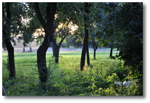 Licht und Schatten im Waldviertel