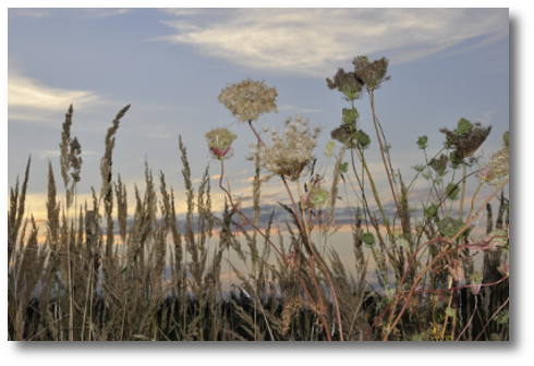 Auf der Wiese unter dem Himmel